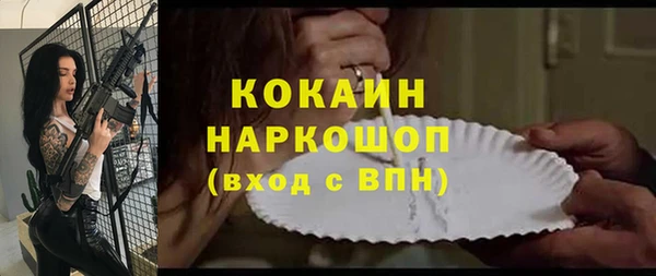 шишки Белоозёрский