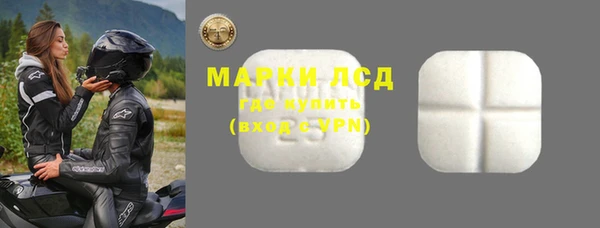 шишки Белоозёрский
