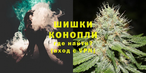 шишки Белоозёрский