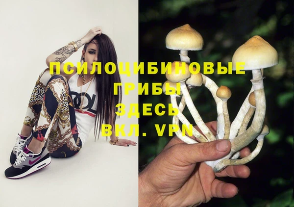 каннабис Беломорск