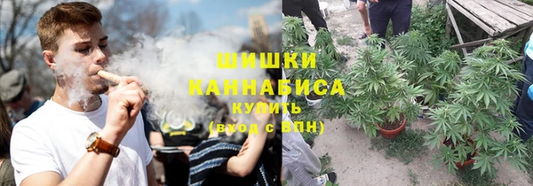 каннабис Белокуриха