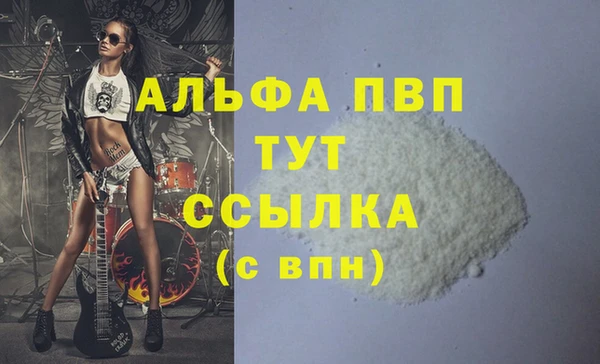 шишки Белоозёрский