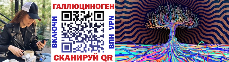 Купить где  Новая Ладога  Псилоцибиновые грибы мицелий 