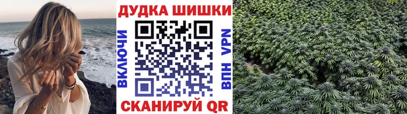 Бошки марихуана семена  Купить  Новая Ладога 